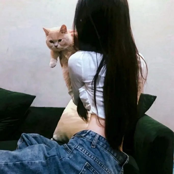 架步春光